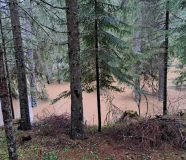 poplave
