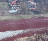 bosna