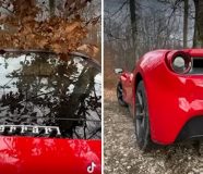ferari