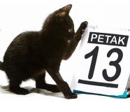 petak 13