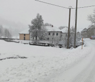 putevi