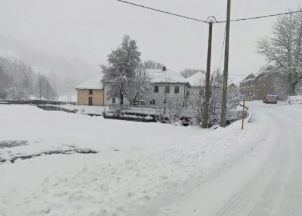 putevi