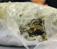 marihuana