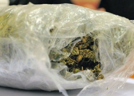 marihuana