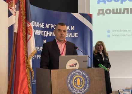 Saša Lalić