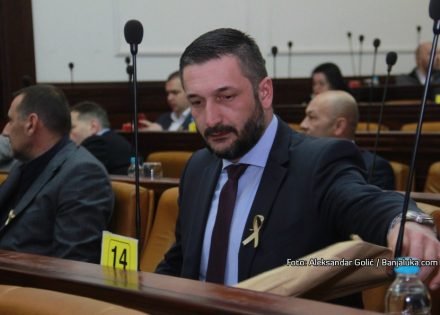 ljubo ninkovic
