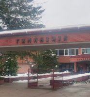 gimnazija