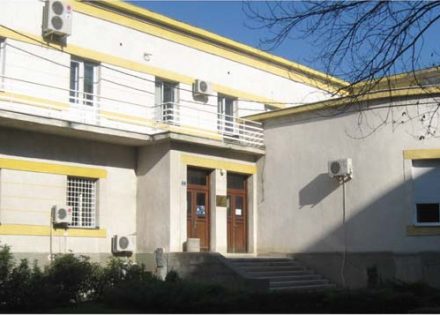 ZELJKOVIĆ