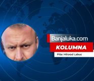 kolumna