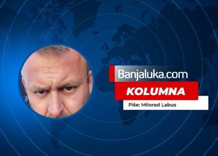 kolumna