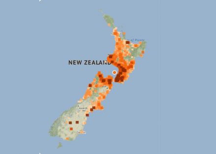 novi zeland