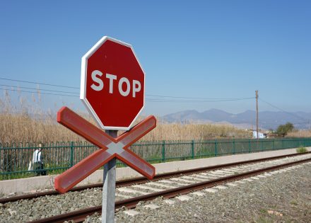 voz