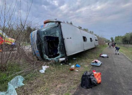 autobus