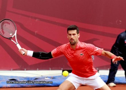 novak
