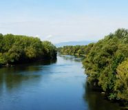 Sava
