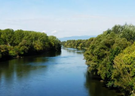 Sava