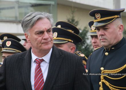 sinisa karan