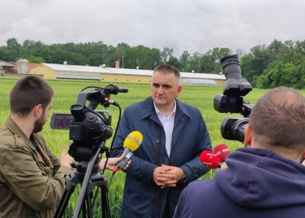 Minić