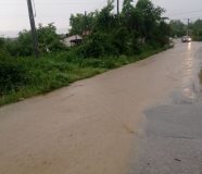 poplave