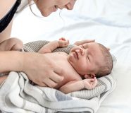 bebe