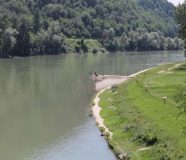 drina