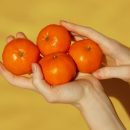 mandarine