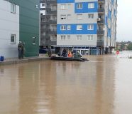 poplave