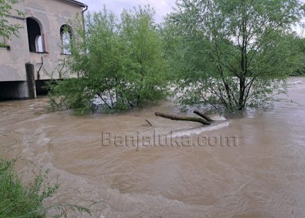 trapistima