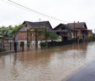 kostajnica