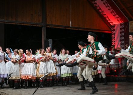 kozara etno