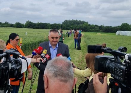 Minić
