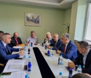minić