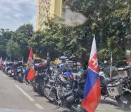 motoristi