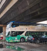 bus