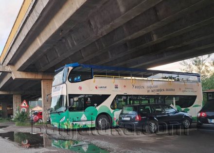 bus