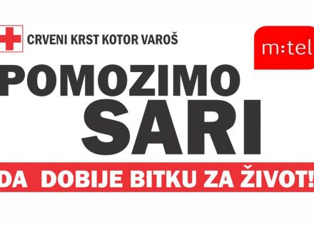 pomozimo sari
