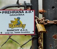 ranchy