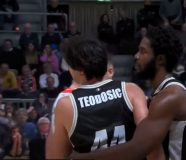teodosic