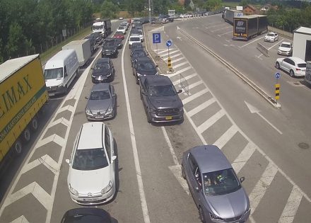 gužva