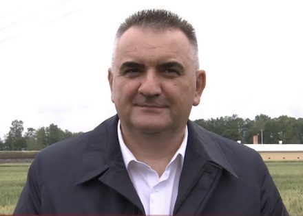 minić