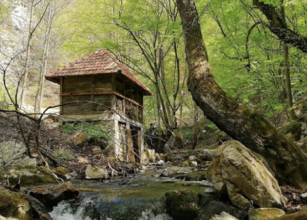 Vodenica