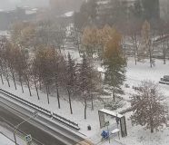 palo_vi__e_od_20_centimetara__snijeg_zabijelio_moskvu73.jpeg