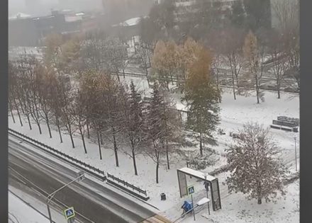 palo_vi__e_od_20_centimetara__snijeg_zabijelio_moskvu73.jpeg