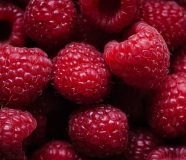 maline