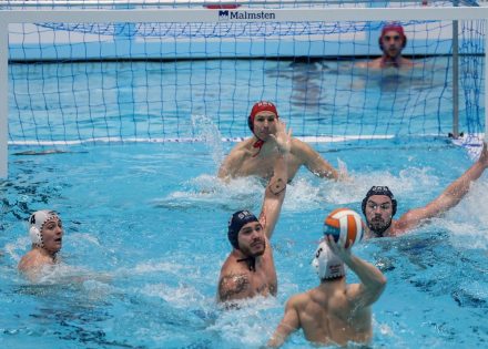 sport