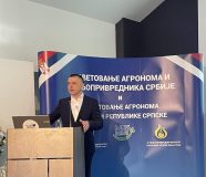 pomocnik