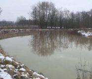 sava