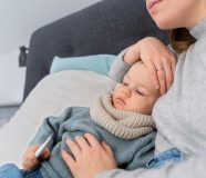 bebe