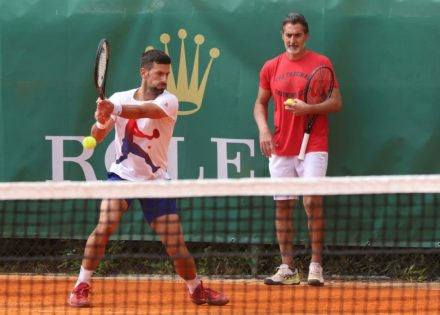 tenis