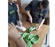 italija